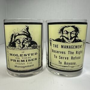Vintage 70s Risqué Humor Bar Glasses Set Rare Adult Novelty Pair Of Glasses